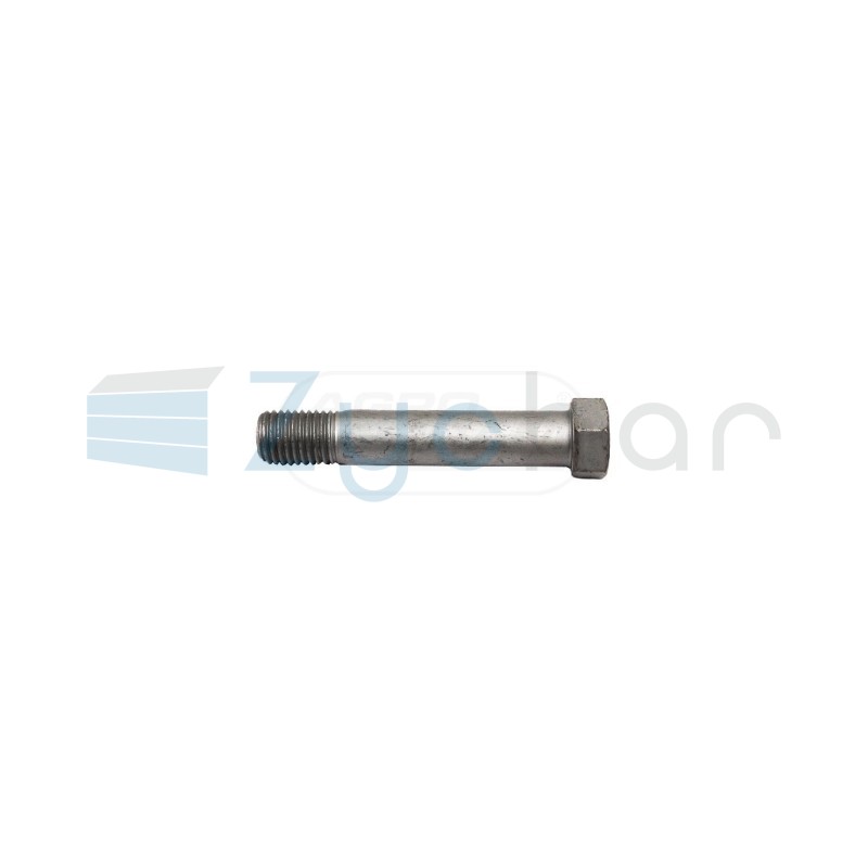 Śruba M20x110 KK032803