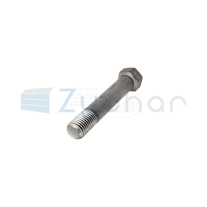 Śruba M20x110 KK032803