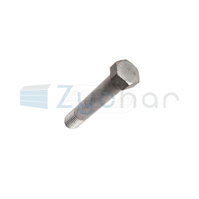 Śruba M20x110 KK032803