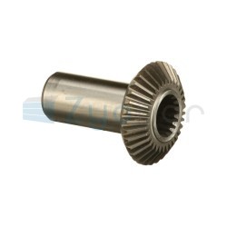  CS