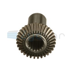  CS