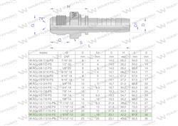 Zakucie hydrauliczne AGJ DN20 1 5/16"-12 UNF PREMIUM Waryński ( sprzedawane po 2 )-1233264