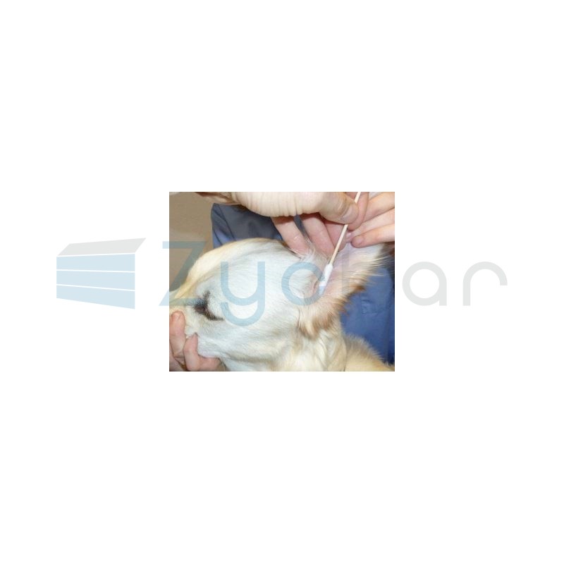 Patyczki do psich uszu z bawełną, S/M, Kerbl-347397510