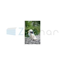 Kaganiec dla psa Nylon, 18 - 24 cm x 8,5 cm, Kerbl-347397249