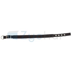 Obroża dla psa Miami Plus, 33 -39 cm x 20 mm, czarna, Kerbl-347397150