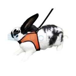 Szelki dla gryzoni ze smyczą Sport, 33 -43 cm, Kerbl-347394358