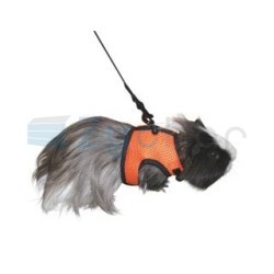 Szelki dla gryzoni ze smyczą Sport, 33 -43 cm, Kerbl-347394359