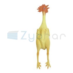 Zabawka dla psa, kogut z lateksu, 38 cm, Kerbl-347397100