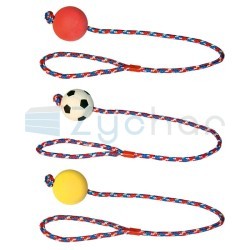 Zabawka dla psa, piłka na lince, 6 cm/60 cm, Kerbl-347397410