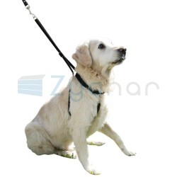 Uprząż dla psa Maxi Leader, 45 - 60 cm, Kerbl-347393446