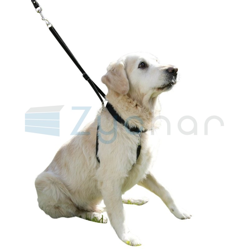 Uprząż dla psa Maxi Leader, 45 - 60 cm, Kerbl-347393446
