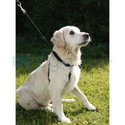 Uprząż dla psa Maxi Leader, 55 - 80 cm, Kerbl-347393590