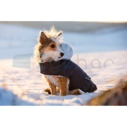 Płaszcz dla psa Teddy, 48 cm, Kerbl-347393647