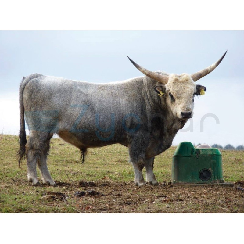 Poidło izolowane THERMOLAC, kulowe, 40 l, La Buvette-347426254