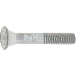 Śruba kopułowa 10 x 60 - 11016705-347706708