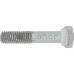 Śruby z łbem młotkowym - 11497271-347702388