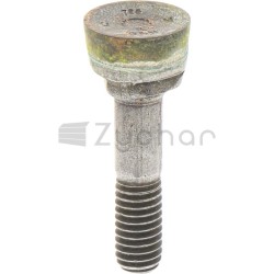Schleifzahn - 12340802-347702271