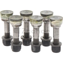 Schleifzahn-Kit (6er Pack) - 12347326-347702252