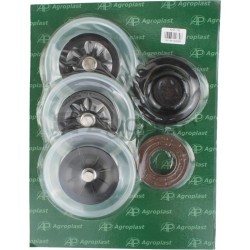 Komplet naprawczy pompy P-145 - 12531754-347709878