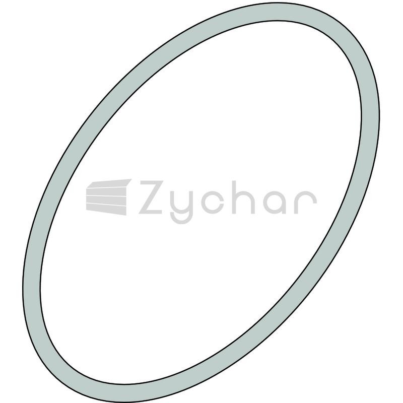 Oring - 15802.5679.23.00-347739430
