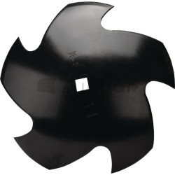 Talerz 810x10 - 18031-581053-347690533