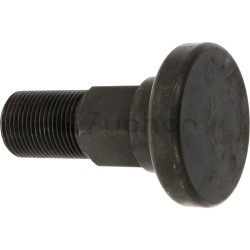 Bolt - 1806309339-347707245