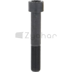 Schraube M20 - 19334864-347692160