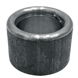 Panewka kulista - 35701245-347733961