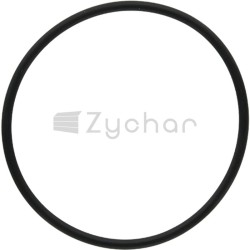 Oring - 410011866-347698583