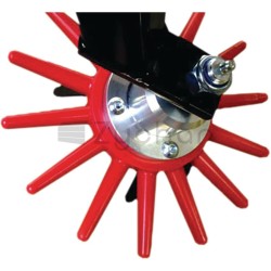 Element gwiazdy pielnika - 501990021-347688551