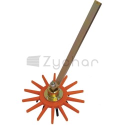Element gwiazdy pielnika - 501990089-347688601