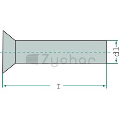 Nit z łbem wpuszczanym RS - 5255.0X16S-347700176