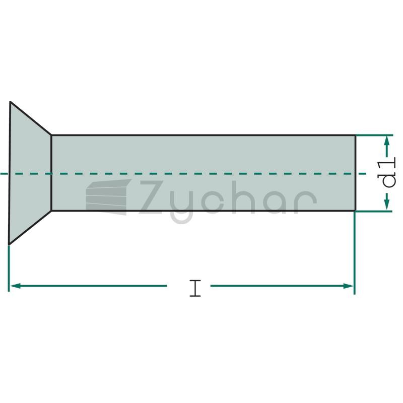 Nit z łbem wpuszczanym RS - 5255.0X16S-347700176
