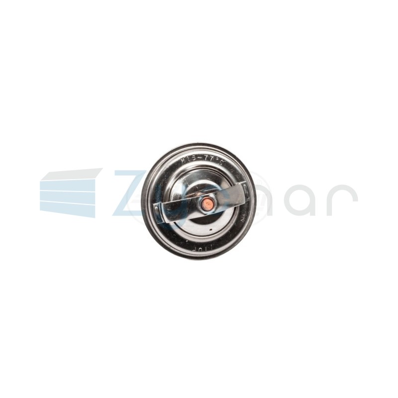 Termostat 70011316PL