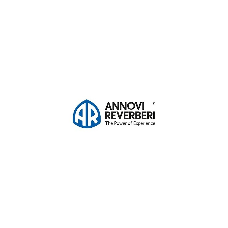 Zawór Annovi Reverberi  ORYGINAŁ  2689050-347617218