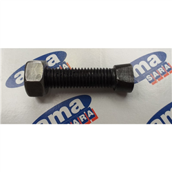 Śruba mocujące nakładkę dłuta dwuczęściowe głębosza typu MICHEL, M12x65-347619076