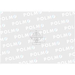 Termostat 162000060702 Case POLMO-347451884