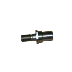Czop Bizon-347872197