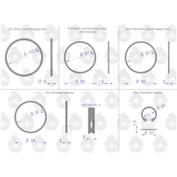 Zestaw naprawczy silnika 55110018 950116 C-360 (komplet) ORYGINAŁ URSUS-347771574