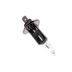 Żarówka H1 12V 55W ( sprzedawane po 10 )-347866927
