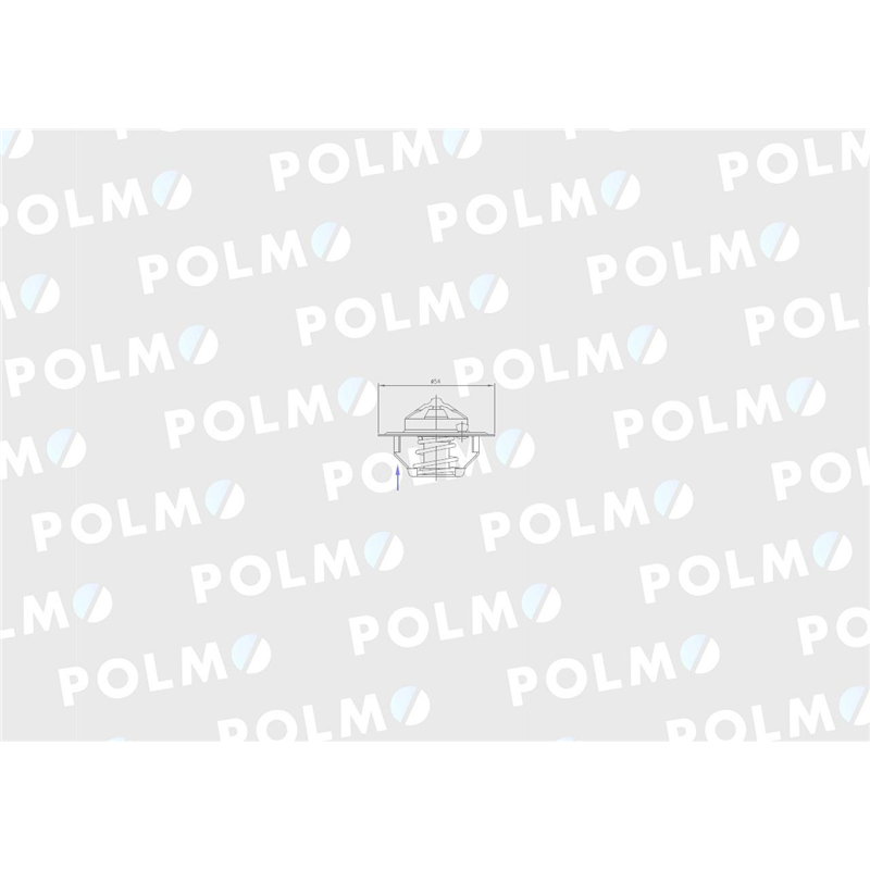 Termostat 6005012123 RENAULT POLMO-347451857