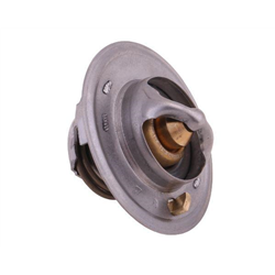 Termostat 6005012123 RENAULT POLMO-347451856