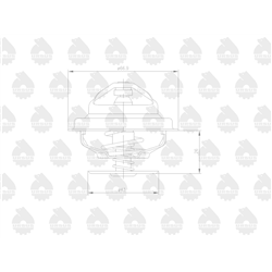 Termostat Forterra Zetor 70011316 ORYGINAŁ URSUS-347878682