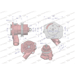 Pompa wody Niska I pasek C-385 WARYŃSKI-347886606