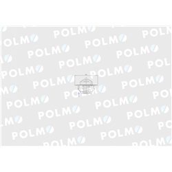 Termostat 895311H1 Landini Case POLMO-347880196