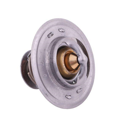 Termostat 98463637 Case POLMO-347451875