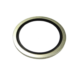 Podkładka metalowo gumowa z prowadzeniem BSP 2"-347876723