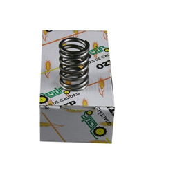 Sprężyna zaworu John Deere-347870751
