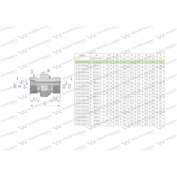Przyłączka hydrauliczna (odmiana ciężka XGE) BB M14x1.5 06S x 1/4" BSP ED Waryński ( sprzedawane po 5 )-347461451