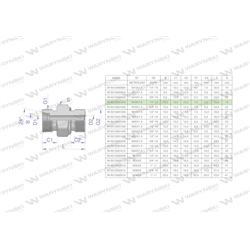 Przyłączka hydrauliczna (odmiana ciężka XGE) BB M18x1.5 10S x 1/4" BSP ED Waryński ( sprzedawane po 5 )-347461469